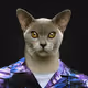Catcehd