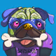 rebeldogs
