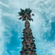 NotJoshO