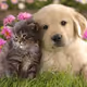 0x366132789c9758839c163f98f83a675bf26ecbf6