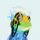 free_whale55