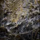Ayahuasca_Offerings