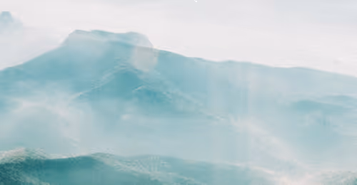 OpenSea banner for @MAMMOTH