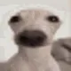 0x36dd40b92eb863141988e26c7ee0eb3190bd31ab