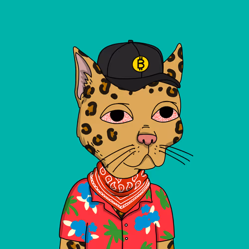 OpenSea profile picture for @Jodi