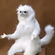 SoyPapi
