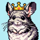 Chinchillaverse