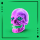 ACE-20K