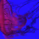 GhostJ
