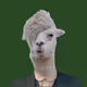 smilinglllama