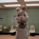 White_rabbit9