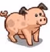 OpenSea profile picture for @Pigskin