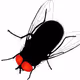 fly_vault