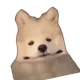 donkeyfart