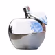 silveraagent