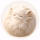 Fabulous_MohuMohu