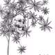 snowlandVAULT
