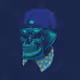 0x381dea7ea25b0429fff956652f81f62e68ba1408