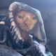 Luckdragondog