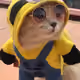 mykhelx