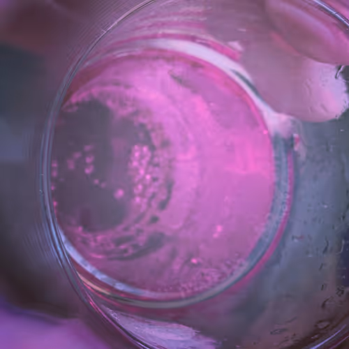 OpenSea banner for @GeeS