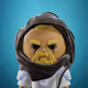 thecryptosven