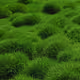 0x38958f8b2ae828eca1e2a30c8e931d224cada075