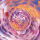 Phase_11
