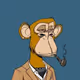 BrandedLogoDealer