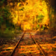 Tarry_CheaperOnBLUR