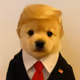 0x38ff62379d89b9df9b4f742ab35e03a098c6f9c4