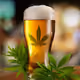 BEER_n_WEED