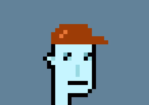 OpenSea profile picture for @naeem