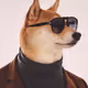 CryptoSExpert