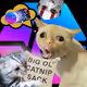 0x3a14ea8cc6b64951ce31037ae32be9caa9815e8e