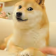 fgffs