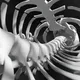 Ribcage_66