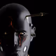 TheDhuke