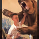 PunchingBears