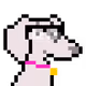 BayAreaNFTVault