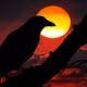 xXRavenXx