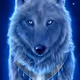 CryptoWolfNFTs