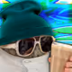 0x3a7e773307e085bf3a632878577797481bbe8193