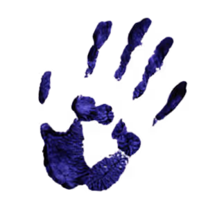OpenSea profile picture for @Pereira
