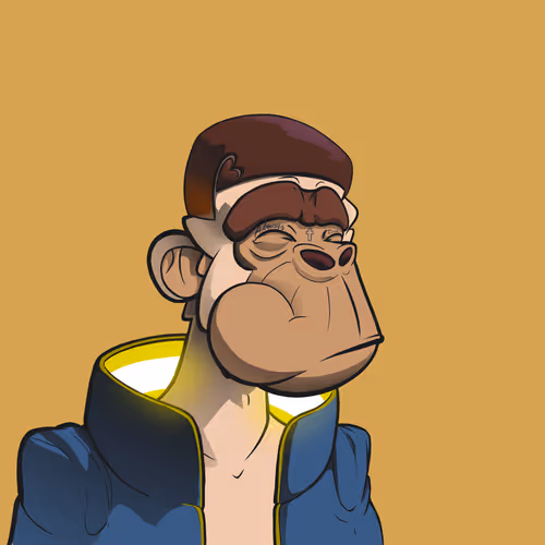 OpenSea profile picture for @rayyan