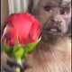 zitiyy