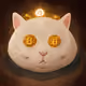 gatogordo