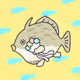 kawazyo