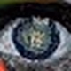 CrypEyes