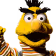 opendejcomin